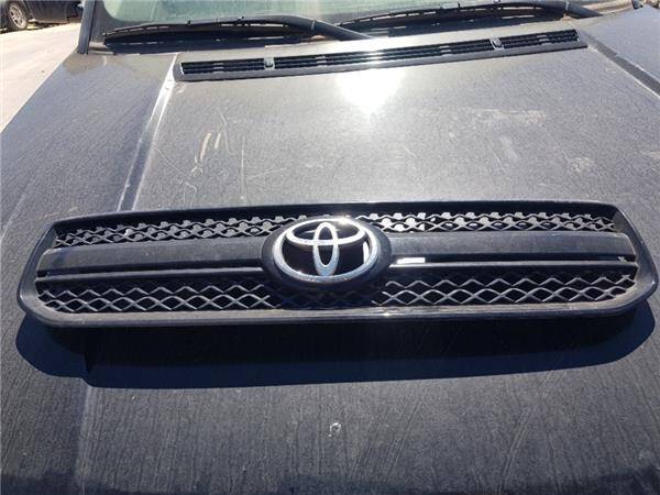 Rejilla capo toyota rav4 (a2)(2000->)