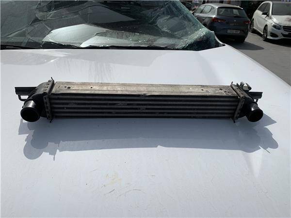 Intercooler fiat qubo (300)(2008->)