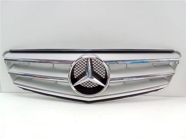 Rejilla paragolpes del. mercedes-benz clase a (bm 169)(06.2004->)