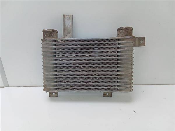 Intercooler ssangyong rexton (04.2003->)