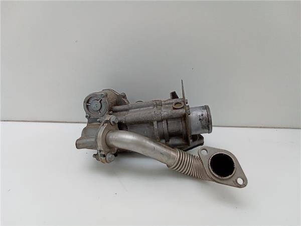 Egr nissan qashqai (j10)(01.2007->)