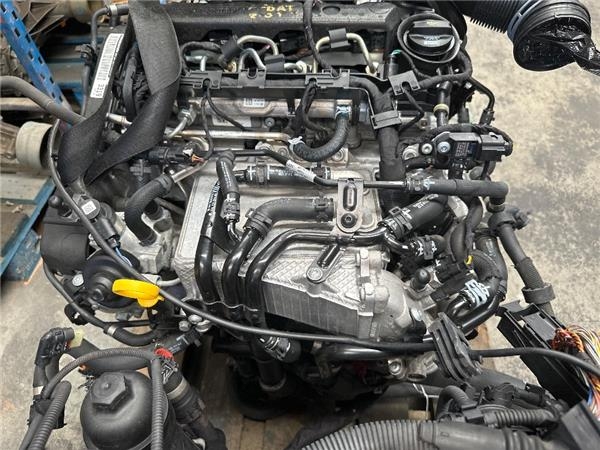 Motor completo volkswagen passat variant (cb5)(2019->)