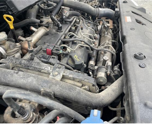 Motor completo kia carnival (2007->)