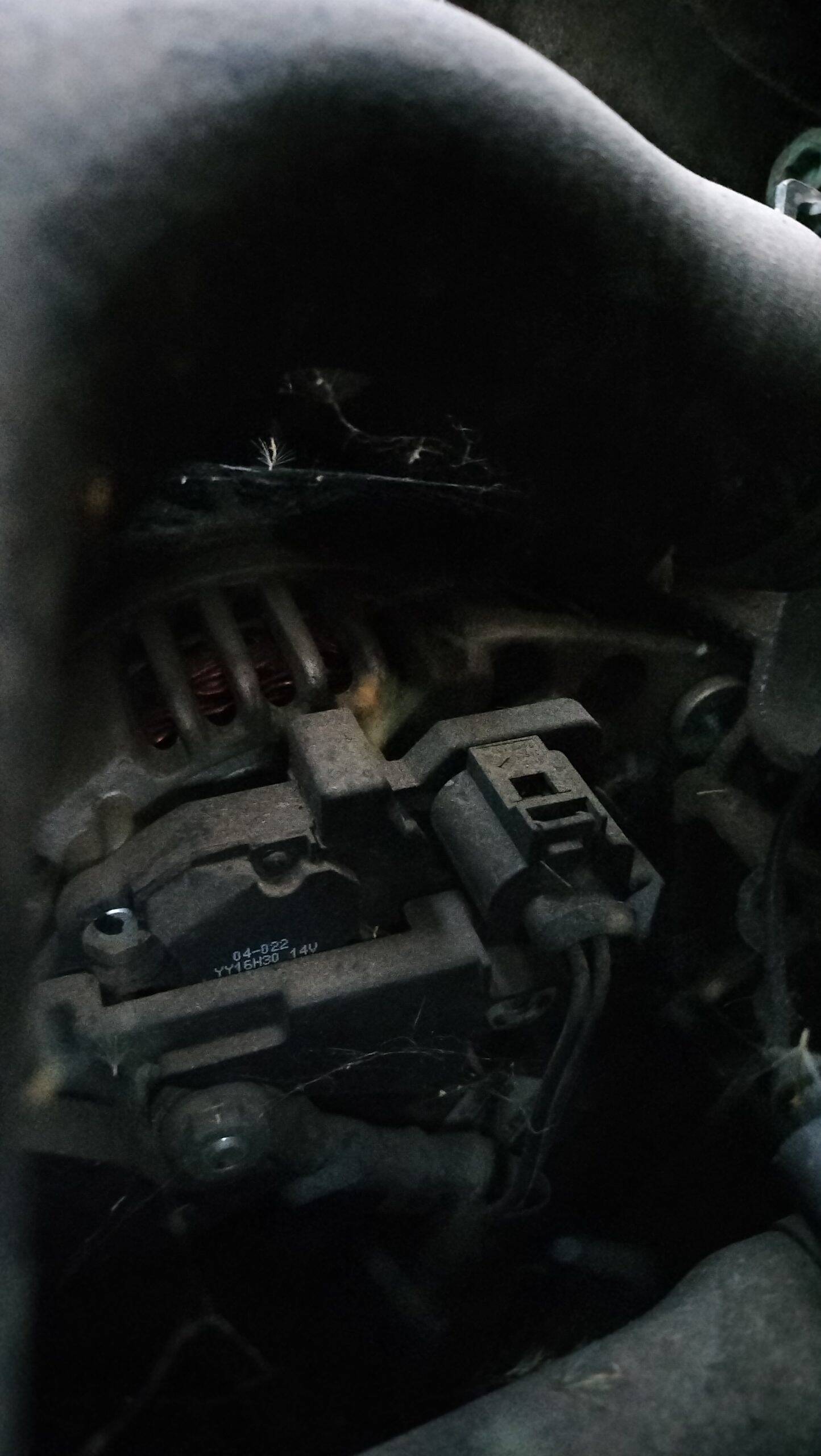 Alternador seat leon (1m1)(11.1999->)