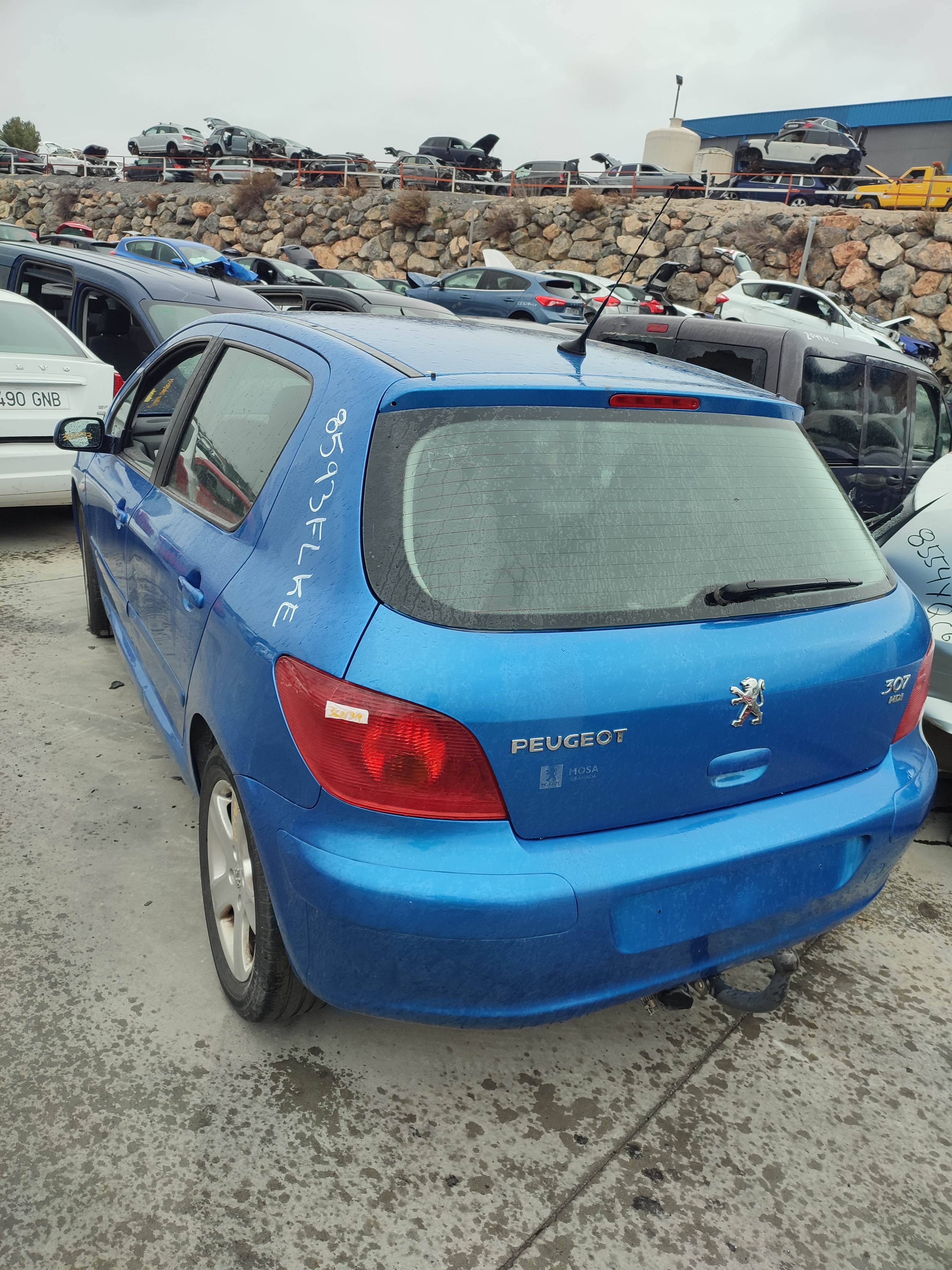 Porton trasero peugeot 307 (s1)(04.2001->06.2005)