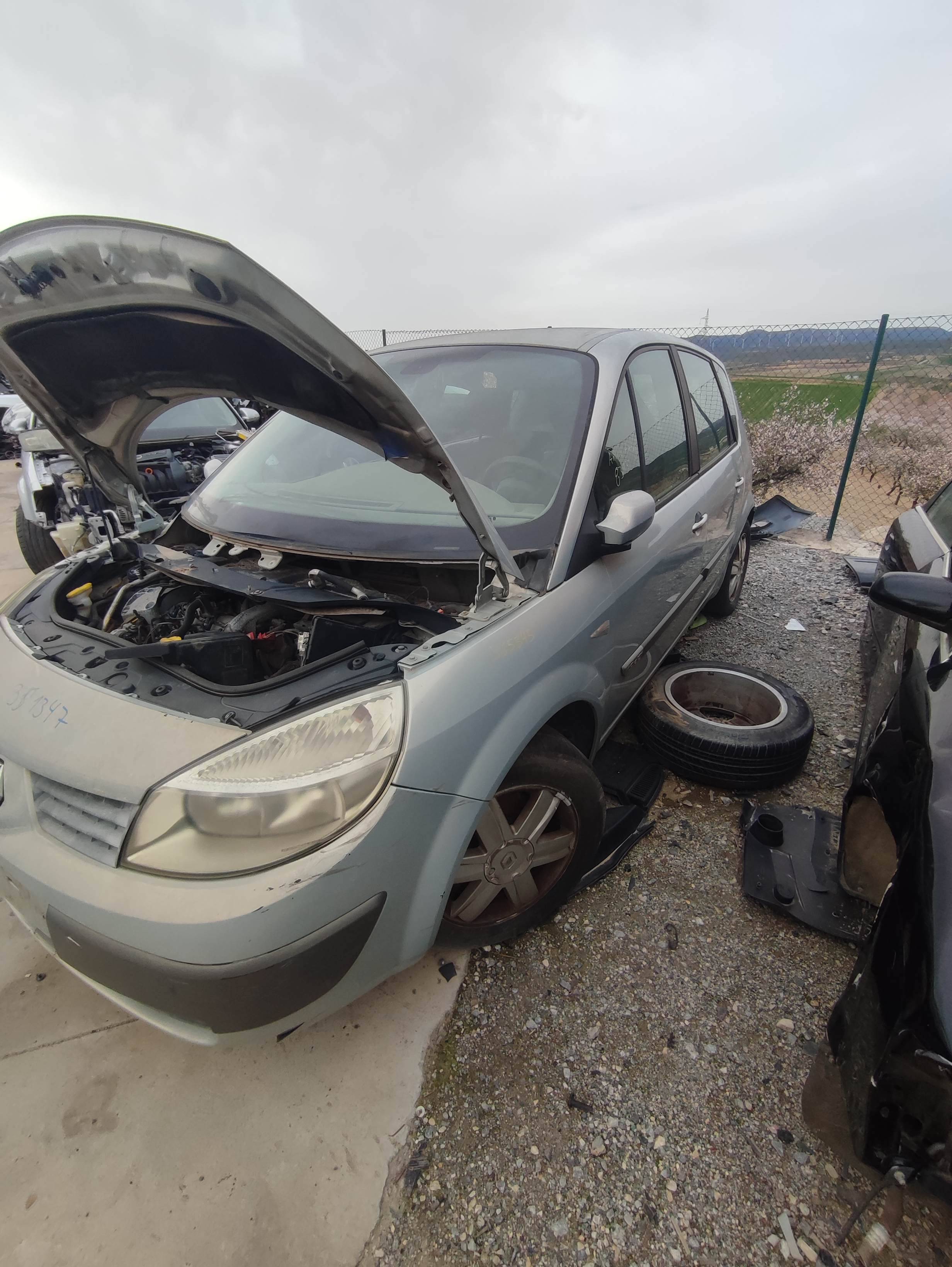 Pase de rueda delantero izquierdo renault scenic ii (jm)(2003->)