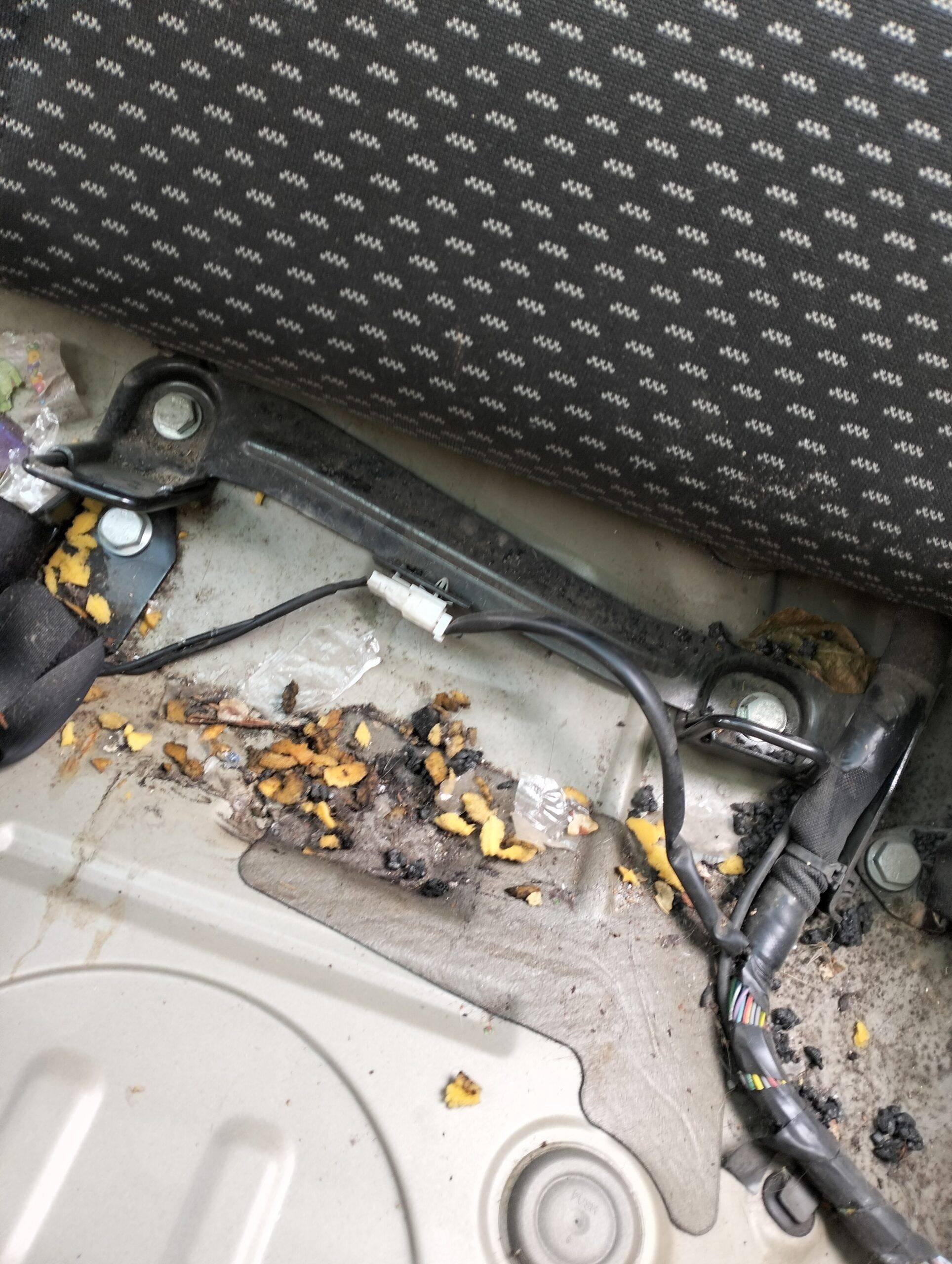 SujecciÓn isofix nissan qashqai (j10)(01.2007->)