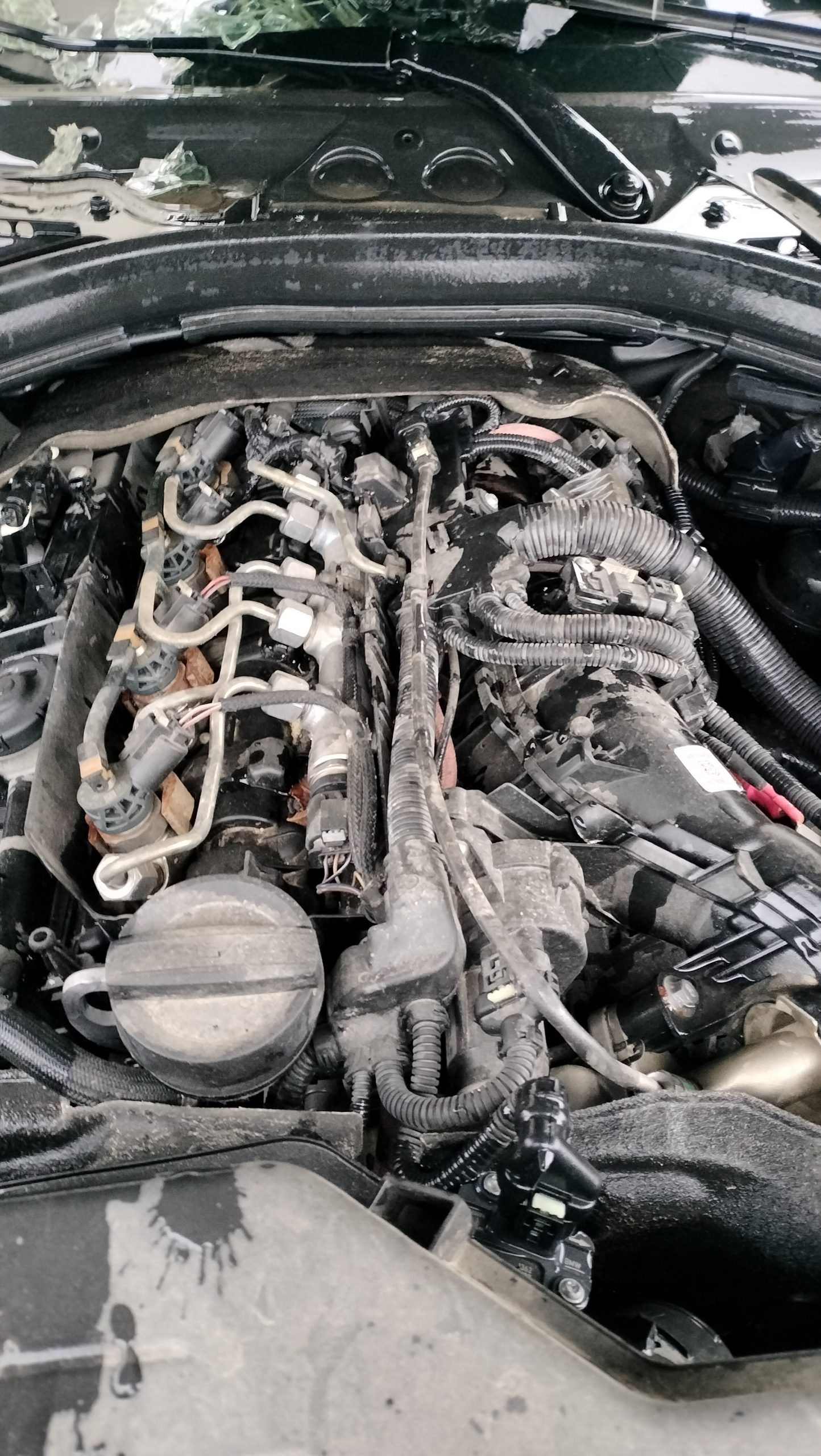 Motor completo bmw serie 4 gran coupe (f36)(2014->)