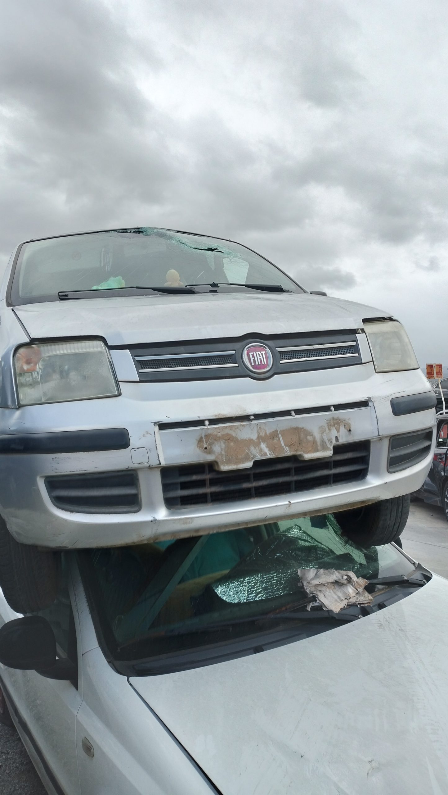 Paragolpes delantero fiat ii panda (169)(2003->)