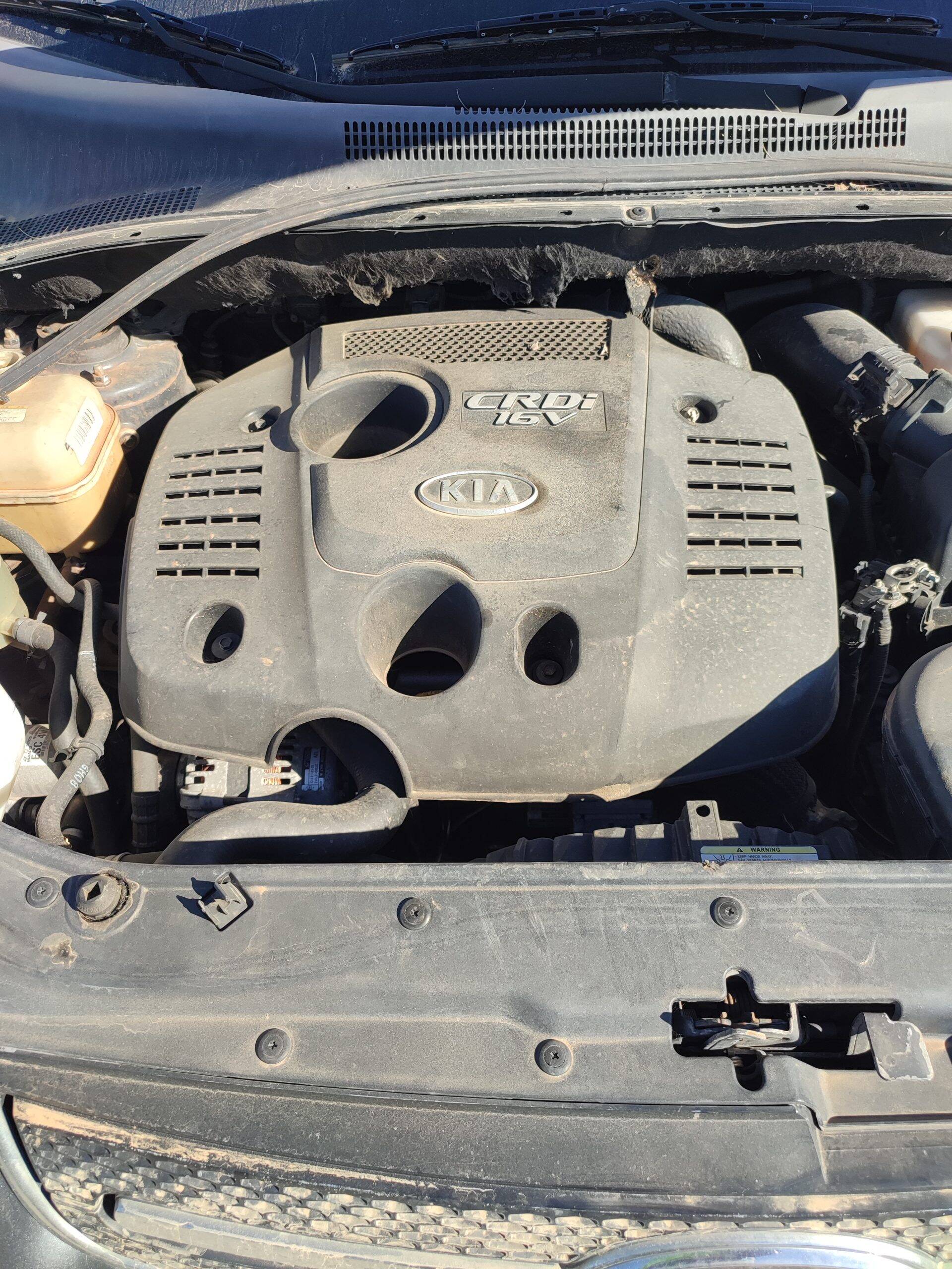 Motor completo kia sportage (km)(2005->)