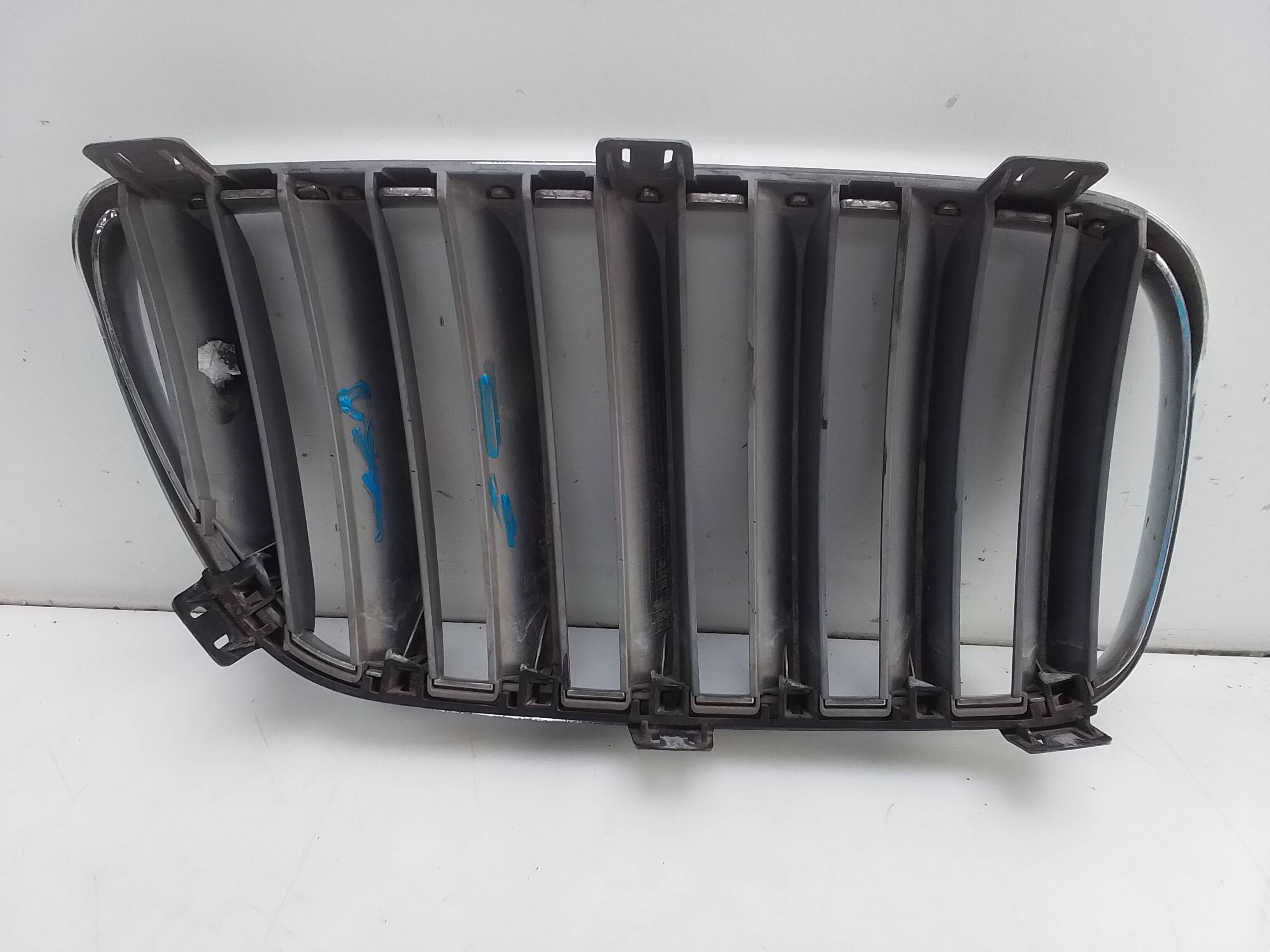 Rejilla capot izquierda bmw serie x5 (e70)(2006->)