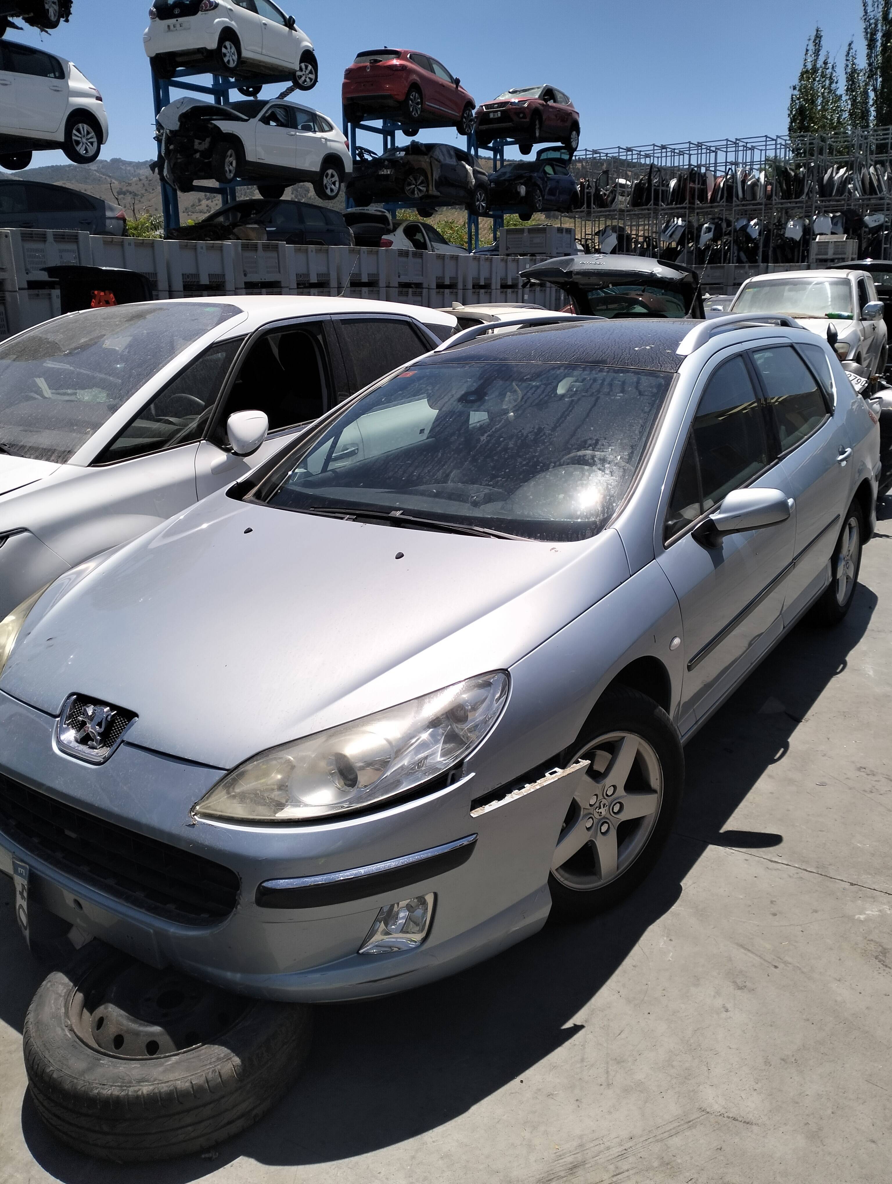 Luna delantera peugeot 407 sw (05.2004->)