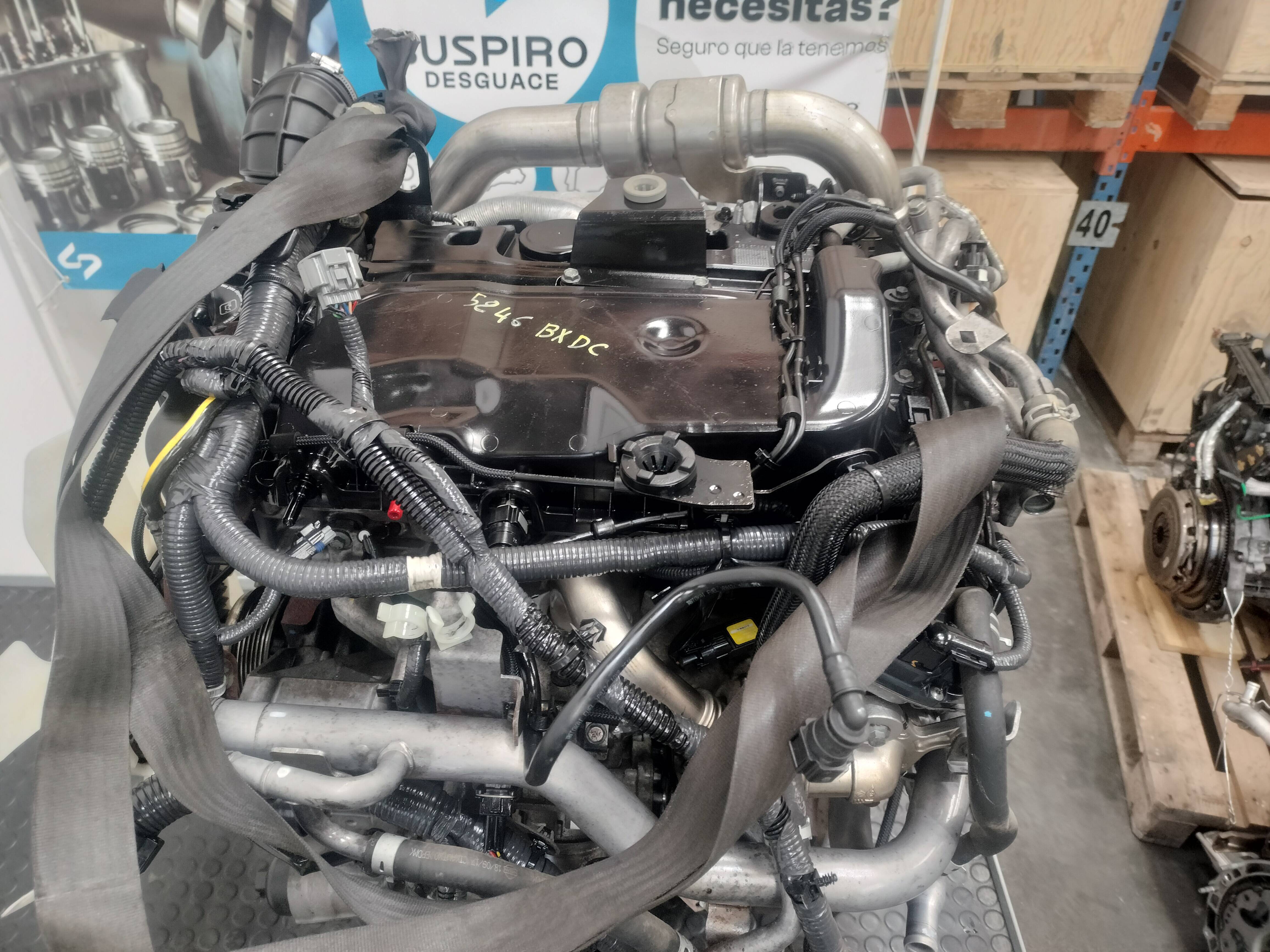 Motor completo nissan navara np300 pick-up (d23m)(12.2015->)