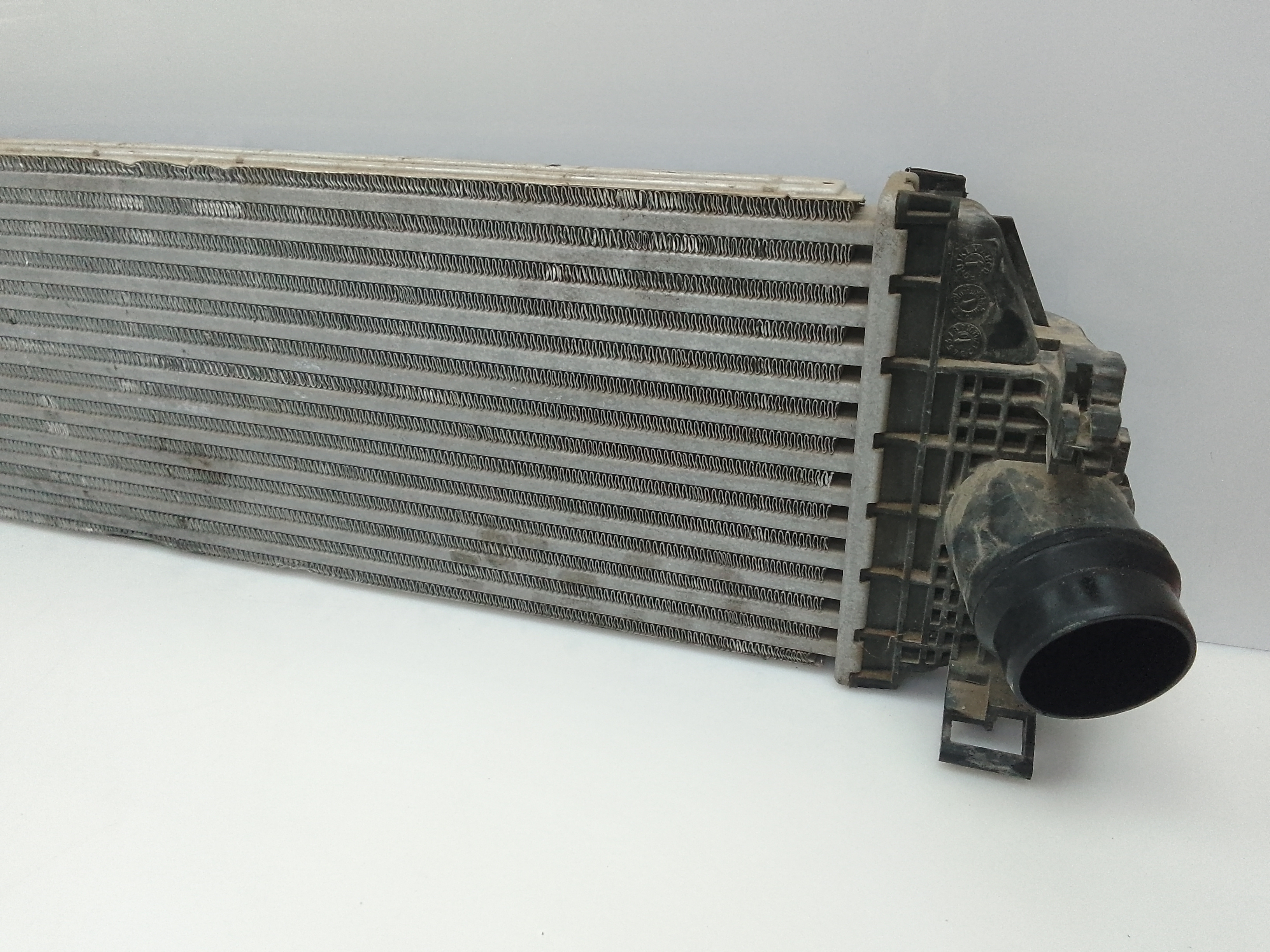 Intercooler ford focus berlina (cge)(2018->)